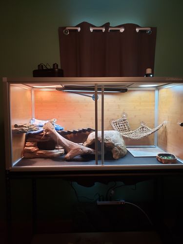 Customer photo review of 4'x2'x2' Wood Panel Reptile Enclosure by Zen Habitats