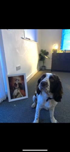 Customer photo review of The King - Custom Vintage Pet Portrait