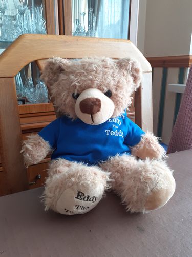 Customer photo review of Eddy The Teddy Bear