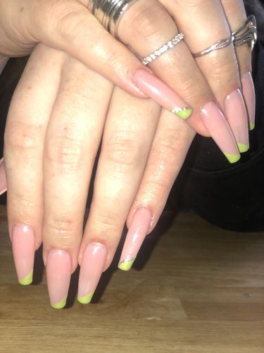 Customer photo review of Bluesky 80579 Lush Tropics