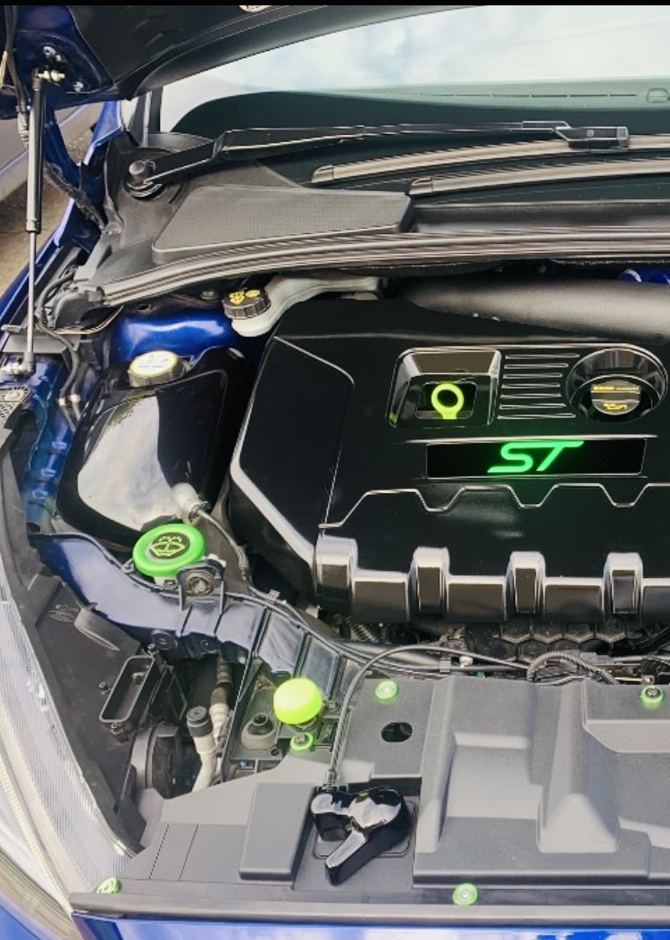 Customer photo review of Proform Bonnet Catch Cover (various colours) - MK3 / 3.5 Focus & Mk2 Puma