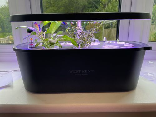 West Kent Hydroponic Indoor Kitchen Herb Garden Kit