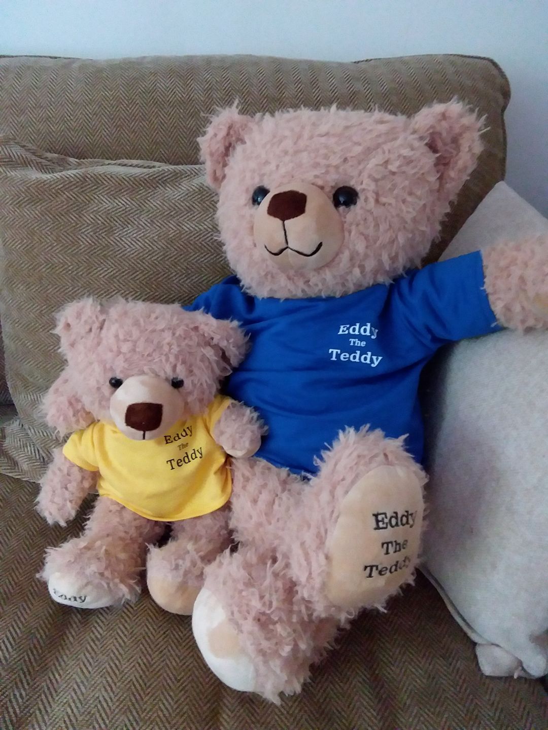 Customer photo review of 65cm Original Eddy the Teddy