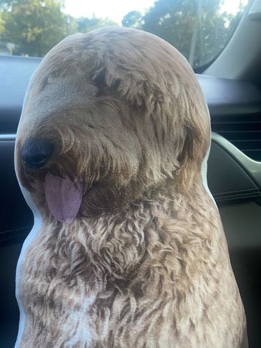 Customer photo review of Create A Custom Dog Pillow