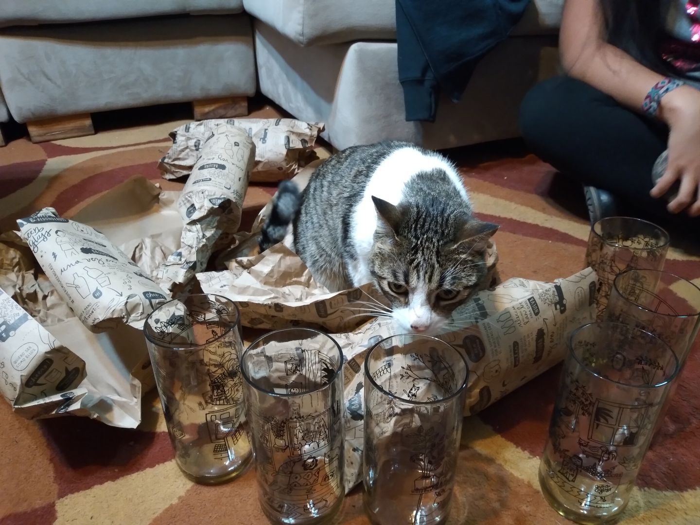 Customer photo review of Cat Lover Juego de 6 Vasos Gatunos 500ML