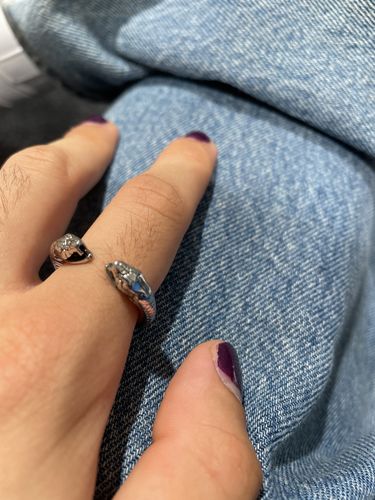 Customer photo review of Double Snake Ring
