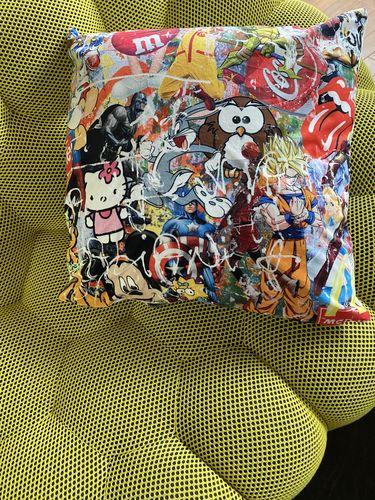 Customer photo review of Coussin Pop icons