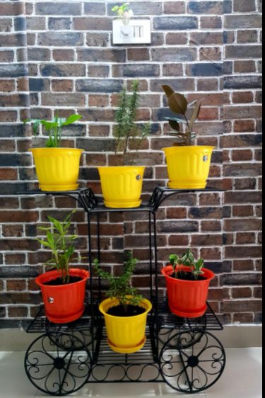 Customer photo review of 6-Tier Cart Planter Stand, Outdoor Flower Rack