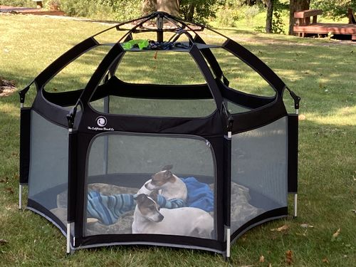 Customer photo review of Pop N' Go® Playpen