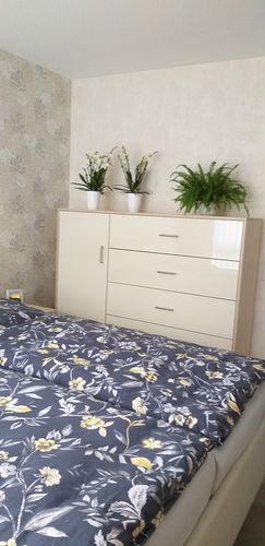 Customer photo review of 8+ rispiges Orchideen 2er Paket + Übertöpfe