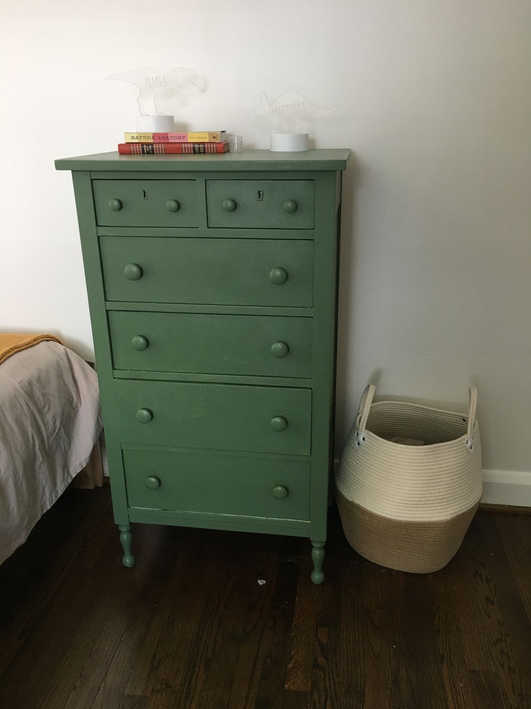 Customer photo review of English Boxwood - One Step Paint