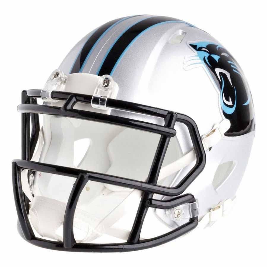 Customer photo review of Carolina Panthers Riddell Speed Mini Football Helmet