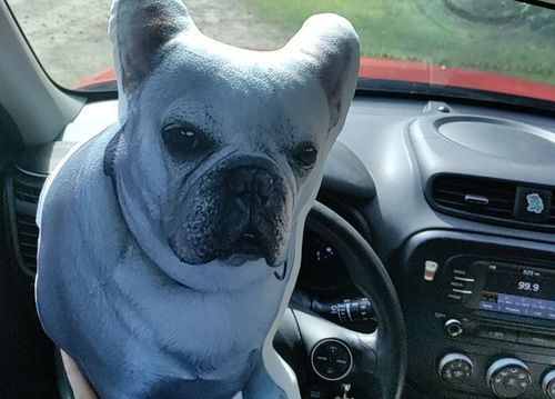 Customer photo review of Create A Custom Dog Pillow