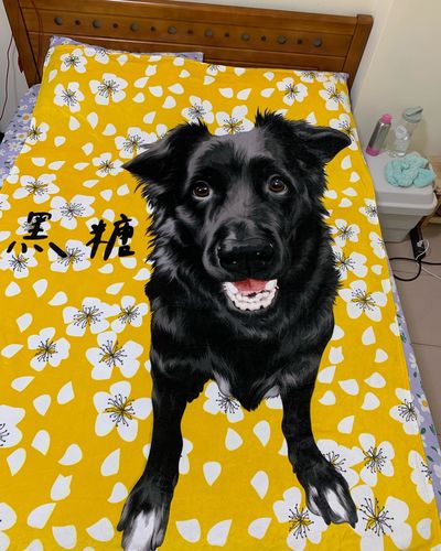 Customer photo review of 【客製】手繪寵物 法蘭絨毛毯