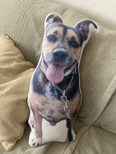 Customer photo review of Create A Custom Dog Pillow