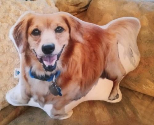 Customer photo review of Create A Custom Dog Pillow