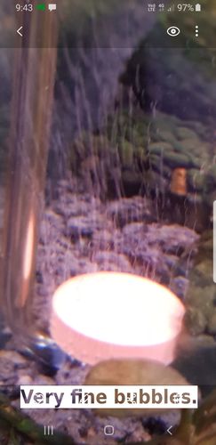 1 Review 5 1 0 0 0 0 Write A Review Sort By Featured Newest Highest Ratings Lowest Ratings Powered By Greg O Review Of Neo Co2 Diffusor Special Type Medium Greg O 8 25 21 Fine Bubbles Easy To Attach Perfect For My 50cm Quick Delivery