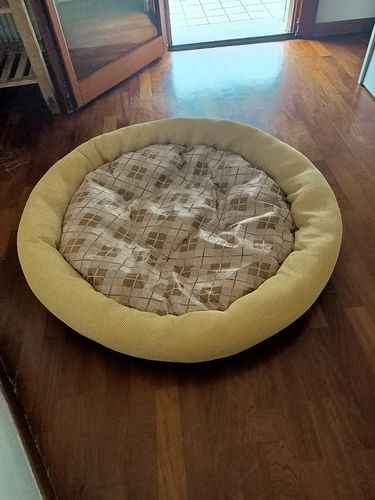 Customer photo review of Cuccia estiva di Super Cucciolo®