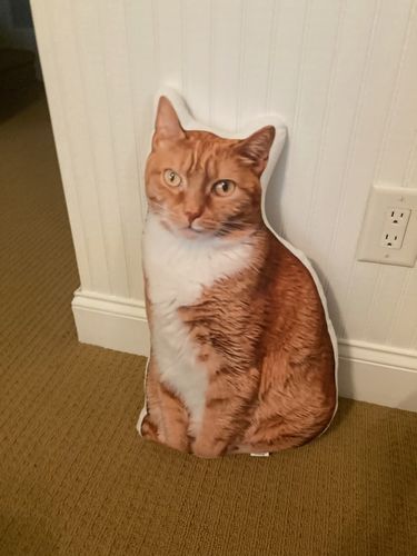 Customer photo review of Create A Custom Cat Pillow