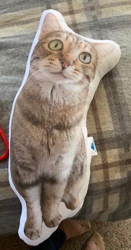 Customer photo review of Create A Custom Cat Pillow