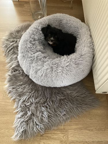 Customer photo review of Puppery Kuschelbett - Das Original