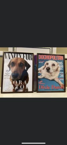 Customer photo review of 12.75 x 17" Frame Add-On