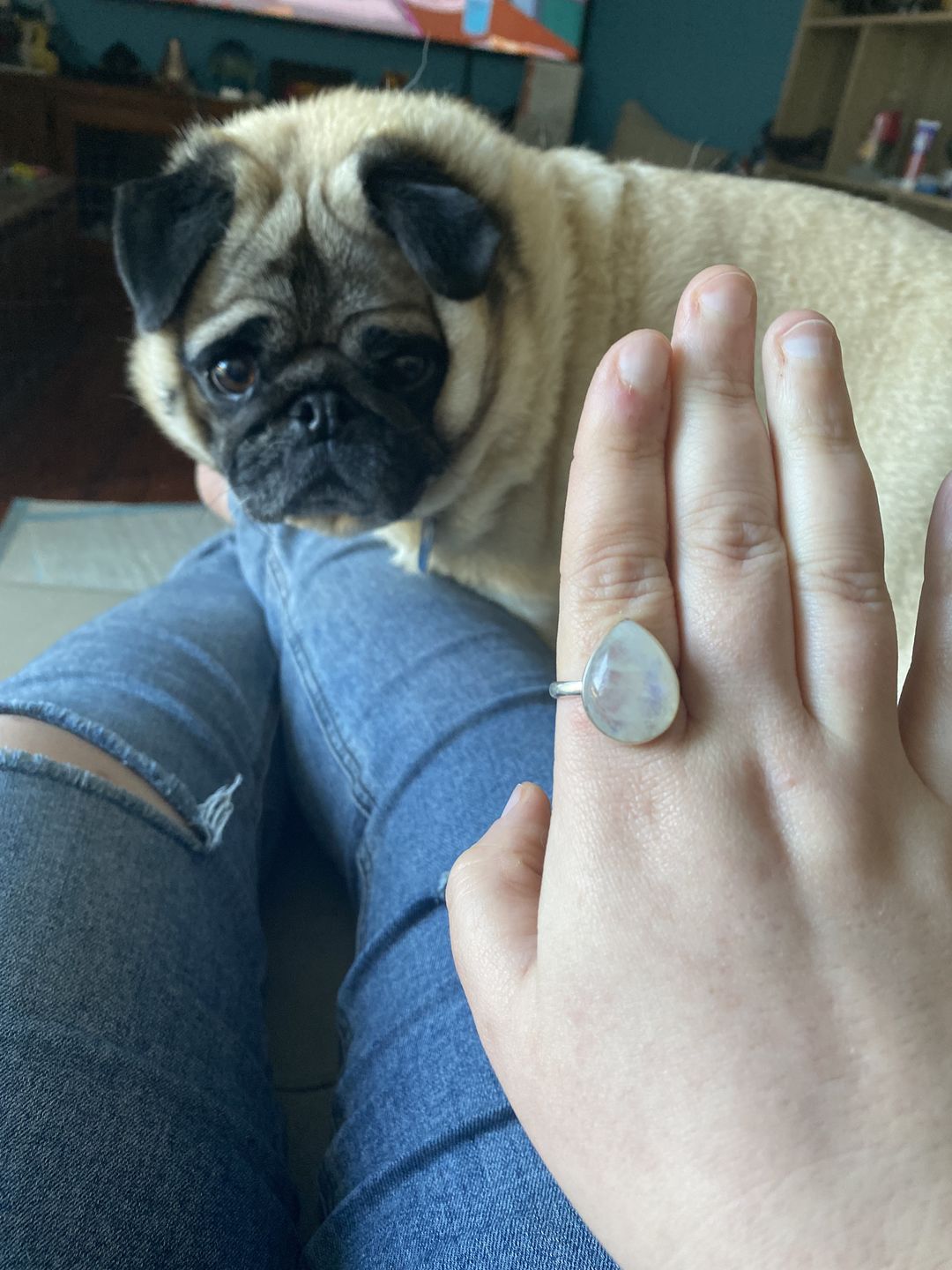 Customer photo review of Rain Drop Moonstone Ring