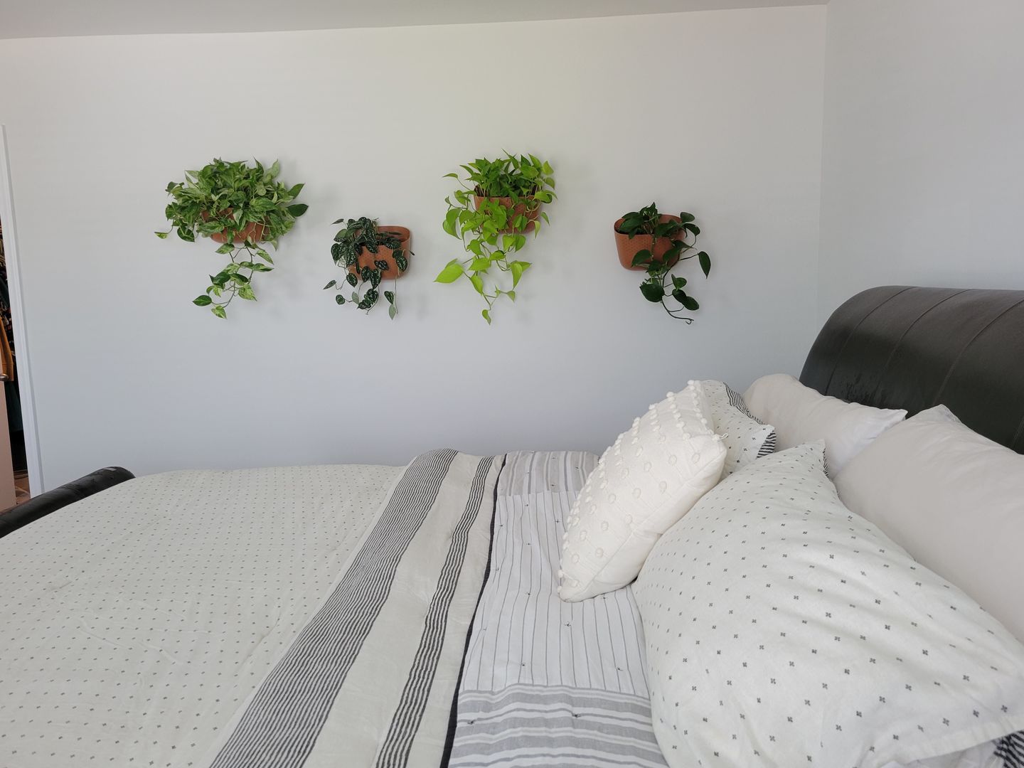 Customer photo review of Eco Terracotta Wall Planter