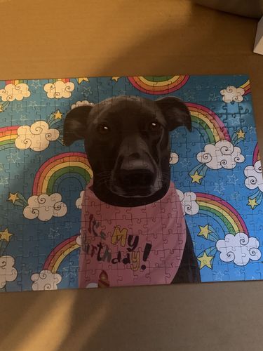 Customer photo review of Custom Pet Fleece Blanket