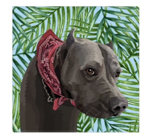 Customer photo review of Custom Wrapped PetCanva