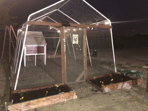 Customer photo review of GrubTerra Dried Larvae