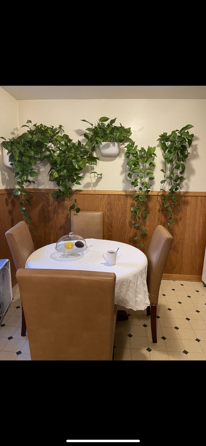Customer photo review of Eco White Wall Planter