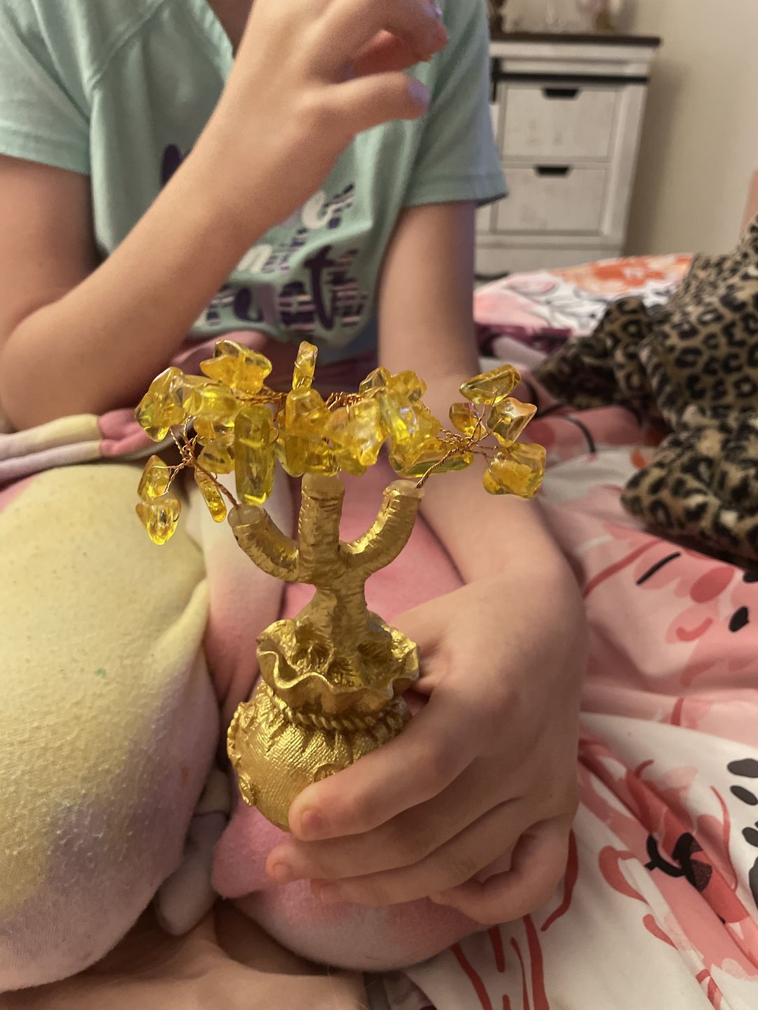 Customer photo review of Feng Shui Citrine Money Tree Wealth Ornaments