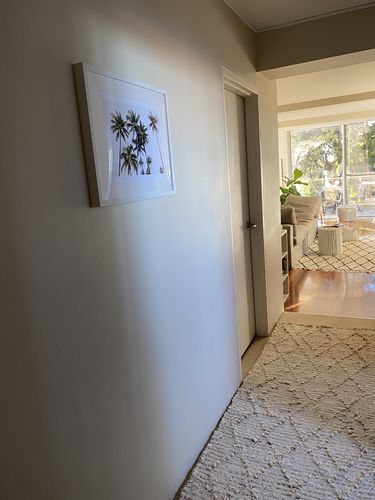 Customer photo review of Tropical Palm Trees LS