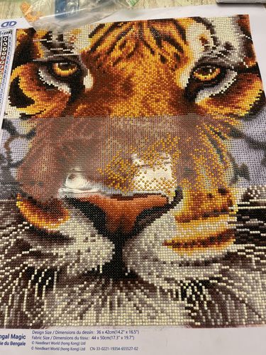 Customer photo review of Colorful Wolf - Premium Diamond Painting Kit