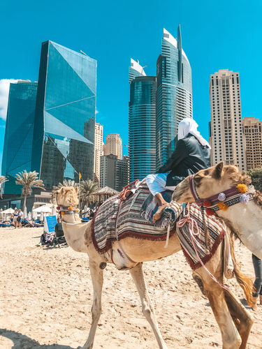 Customer photo review of VACAY LIGHTROOM PRESETS