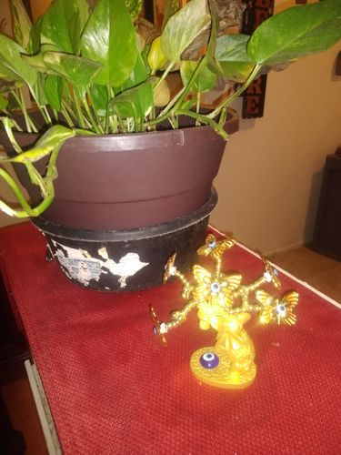 Customer photo review of Mini PROTECTION 🧿EVIL EYE 🧿 TREE #5