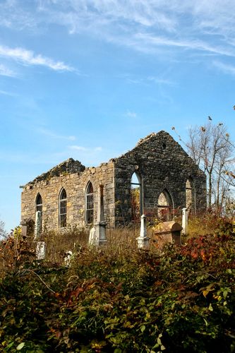 Customer photo review of Energy Bites - Variety Pack