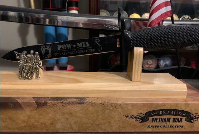 Customer photo review of Vietnam Veteran Pin