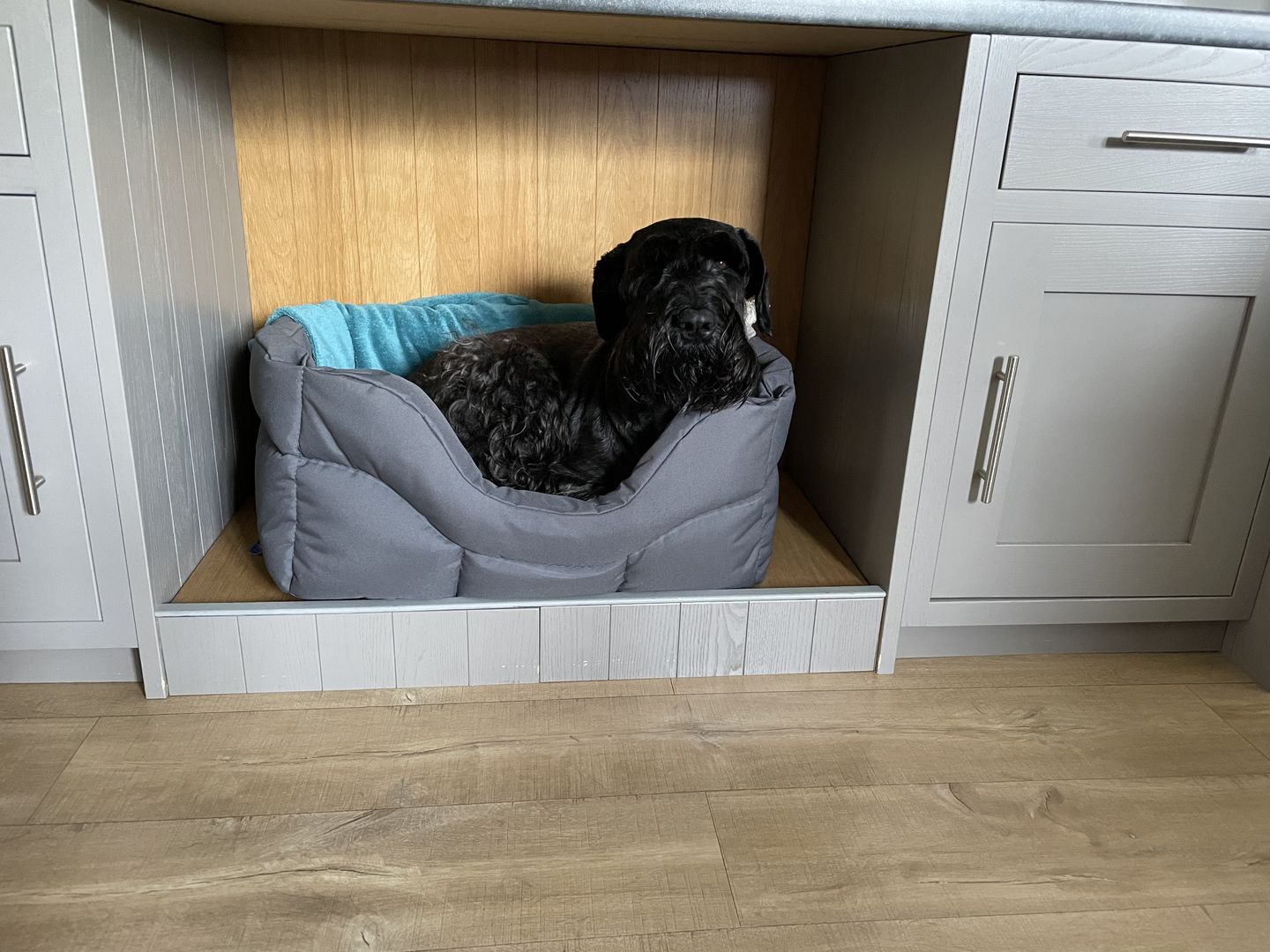 Customer photo review of Country Dog Heavy Duty Rectangular Dog Bed
