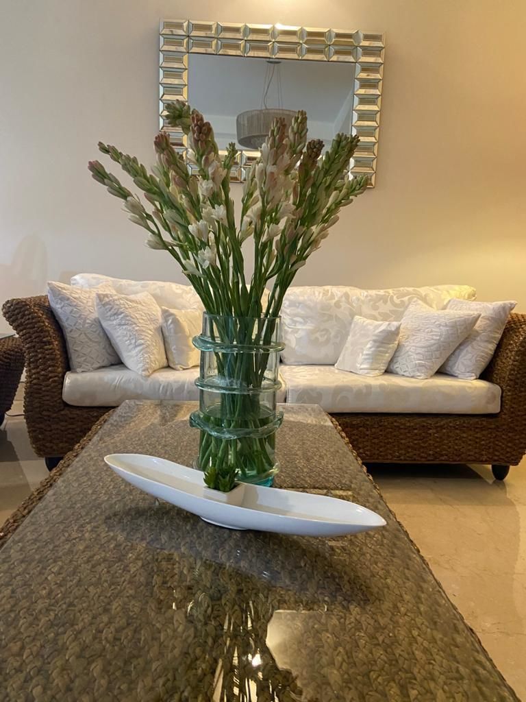Customer photo review of Tube Roses "Rajnigandha"