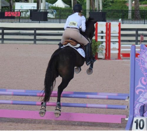 Customer photo review of HR Farm CHRON Equestrian Riding Pants Ladies Riding Breeches For Women Silicone Full Seat Breeches