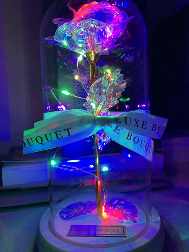 Customer photo review of Galaxy Enchanted Rose Dome
