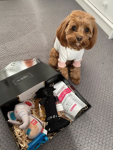 Customer photo review of Barking Beautiful Hamper