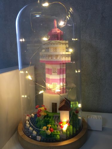 Customer photo review of Capsule World™