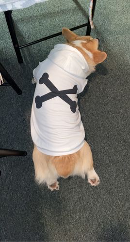 Customer photo review of "WOOF" Dog Hoodie - White