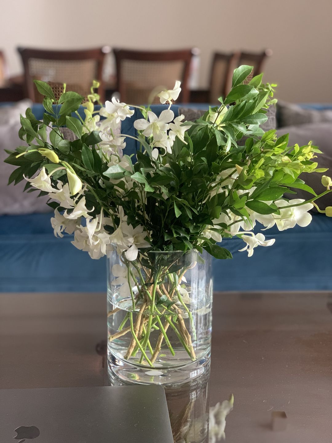 Customer photo review of Subscribe to Cut Flowers - Basics
