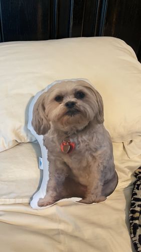 Customer photo review of Create A Custom Dog Pillow