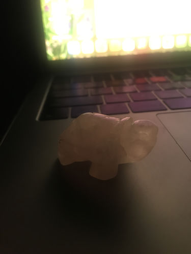 Customer photo review of Rose Quartz Turtle