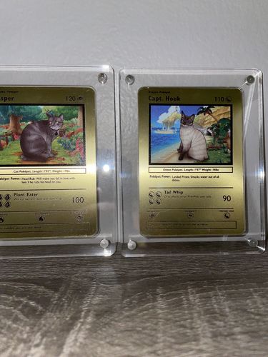 Customer photo review of Pokepet Metal Card
